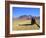 A 4x4 on the Southwest Circuit Tour, Rio Blanco, Bolivia, South America-Simon Montgomery-Framed Photographic Print