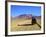 A 4x4 on the Southwest Circuit Tour, Rio Blanco, Bolivia, South America-Simon Montgomery-Framed Photographic Print