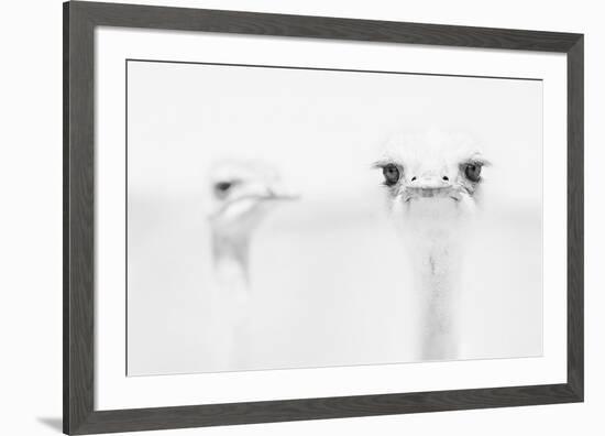 A°A°A°-Carlo Tonti-Framed Art Print