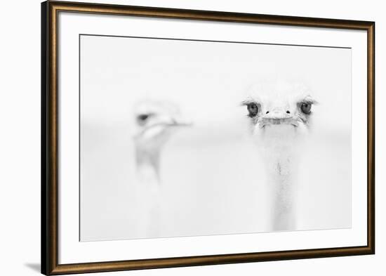 A°A°A°-Carlo Tonti-Framed Art Print