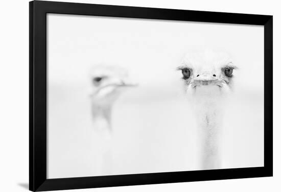 A°A°A°-Carlo Tonti-Framed Art Print