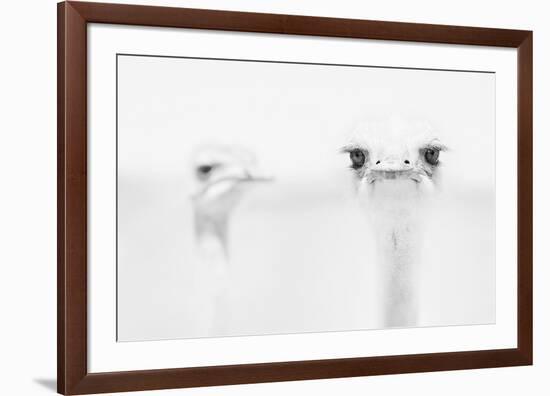 A°A°A°-Carlo Tonti-Framed Art Print