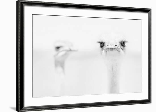 A°A°A°-Carlo Tonti-Framed Art Print