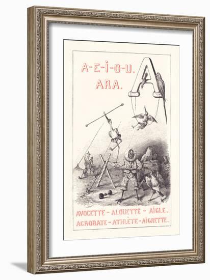 A: A E I O U - Ara - Avocet - Lark - Eagle - Acrobat - Athlete - Egrett,1879 (Engraving)-Fortune Louis Meaulle-Framed Giclee Print