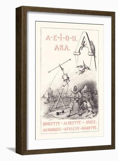 A: A E I O U - Ara - Avocet - Lark - Eagle - Acrobat - Athlete - Egrett,1879 (Engraving)-Fortune Louis Meaulle-Framed Giclee Print