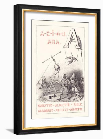 A: A E I O U - Ara - Avocet - Lark - Eagle - Acrobat - Athlete - Egrett,1879 (Engraving)-Fortune Louis Meaulle-Framed Giclee Print