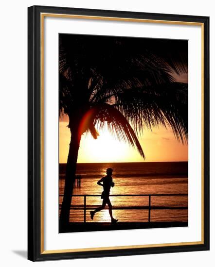 A Afternoon Runner Passes Under a Palm Tree as the Sun Sets Behind-null-Framed Photographic Print