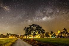 The Milky Way and the Tree Stand Alone and Road-a aizat-Photographic Print