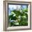 A Azure-Shouldered Tanager on a Branch in the Atlantic Rainforest-Alex Saberi-Framed Photographic Print