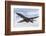 A B-1B Lancer of the U.S. Air Force Taking Off-Stocktrek Images-Framed Photographic Print
