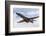 A B-1B Lancer of the U.S. Air Force Taking Off-Stocktrek Images-Framed Photographic Print