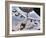 A B-52 Stratofortress Receives Fuel from a KC-135 Stratotanker Over Afghanistan-Stocktrek Images-Framed Photographic Print