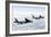 A B-52H Stratofortress Refuels with a Kc-135R Stratotanker-null-Framed Photographic Print