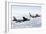 A B-52H Stratofortress Refuels with a Kc-135R Stratotanker-null-Framed Photographic Print