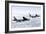 A B-52H Stratofortress Refuels with a Kc-135R Stratotanker-null-Framed Photographic Print