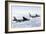 A B-52H Stratofortress Refuels with a Kc-135R Stratotanker-null-Framed Photographic Print