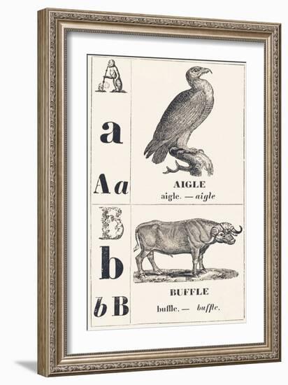 A B: Eagle — Buffalo, 1850 (Engraving)-Louis Simon (1810-1870) Lassalle-Framed Giclee Print