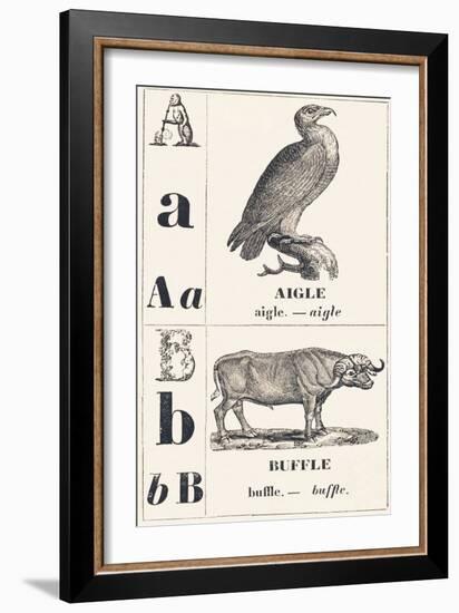 A B: Eagle — Buffalo, 1850 (Engraving)-Louis Simon (1810-1870) Lassalle-Framed Giclee Print