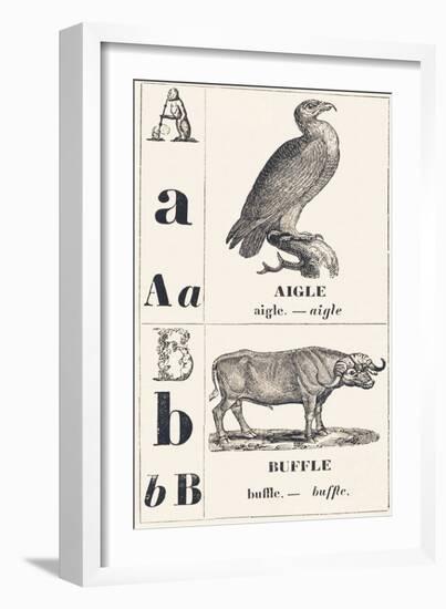 A B: Eagle — Buffalo, 1850 (Engraving)-Louis Simon (1810-1870) Lassalle-Framed Giclee Print