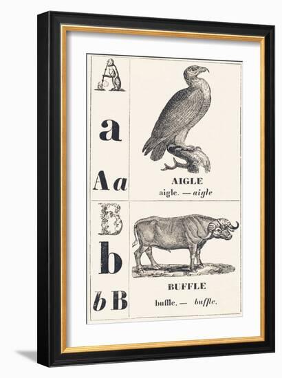 A B: Eagle — Buffalo, 1850 (Engraving)-Louis Simon (1810-1870) Lassalle-Framed Giclee Print