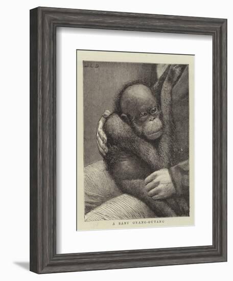 A Baby Orang-Outang-John Charles Dollman-Framed Giclee Print