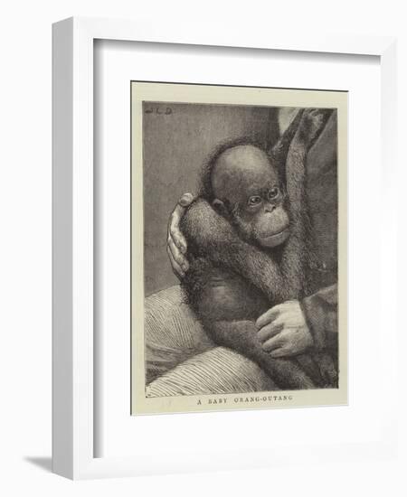 A Baby Orang-Outang-John Charles Dollman-Framed Giclee Print