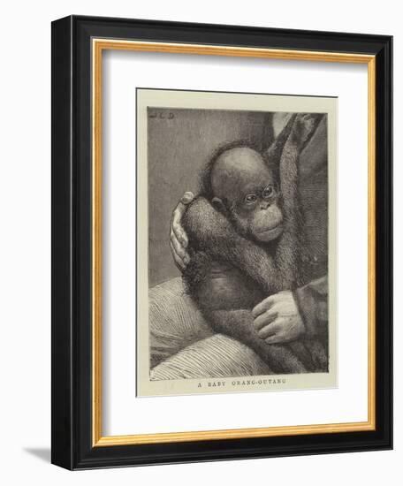 A Baby Orang-Outang-John Charles Dollman-Framed Giclee Print