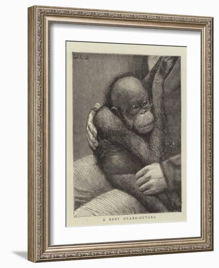 A Baby Orang-Outang-John Charles Dollman-Framed Giclee Print