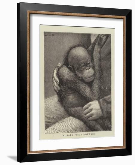 A Baby Orang-Outang-John Charles Dollman-Framed Giclee Print