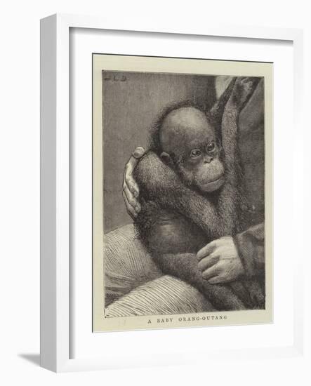 A Baby Orang-Outang-John Charles Dollman-Framed Giclee Print