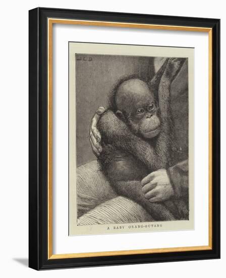 A Baby Orang-Outang-John Charles Dollman-Framed Giclee Print