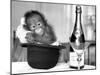 A baby Orangutan at Twycross Zoo-Staff-Mounted Photographic Print