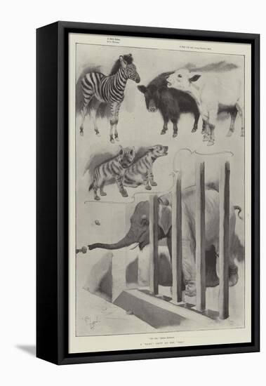 A Baby Show at the Zoo-Cecil Aldin-Framed Premier Image Canvas