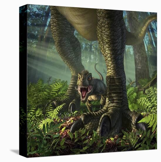 Stretched Canvas Print, , large
