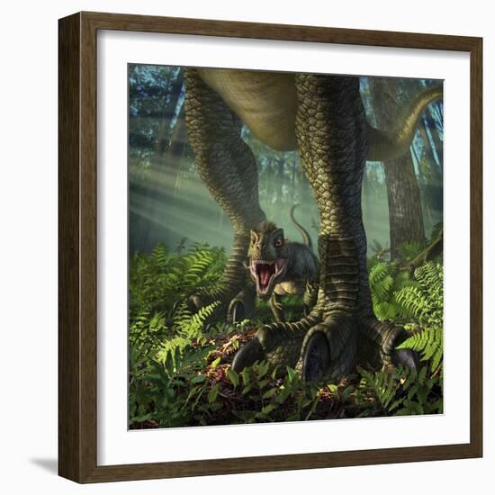 A Baby Tyrannosaurus Rex Roars While Safely Standing Between it's Mother's Legs-null-Framed Art Print