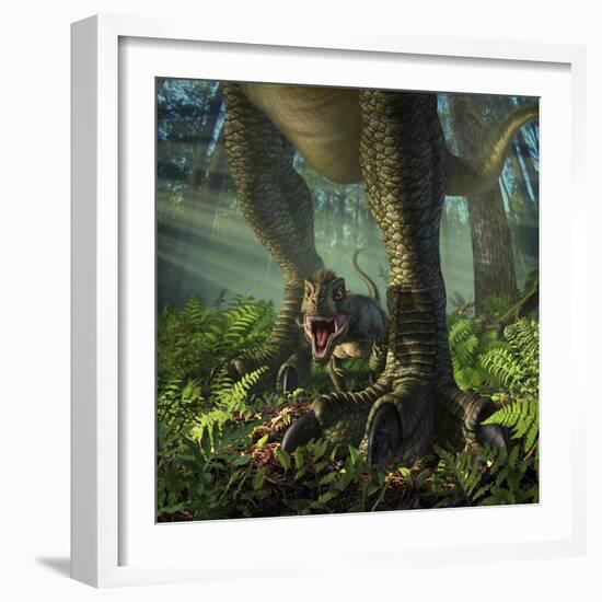 A Baby Tyrannosaurus Rex Roars While Safely Standing Between it's Mother's Legs-null-Framed Art Print