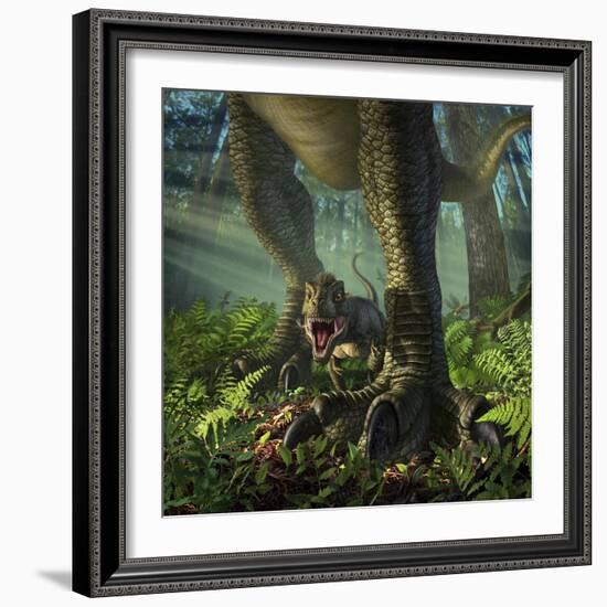 A Baby Tyrannosaurus Rex Roars While Safely Standing Between it's Mother's Legs-null-Framed Premium Giclee Print