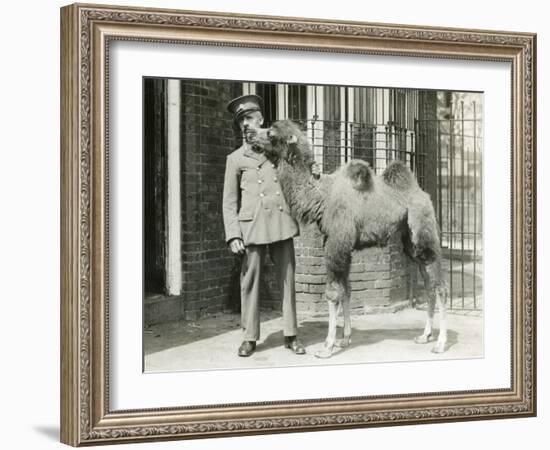 A Bactrian Camel Calf-Frederick William Bond-Framed Photographic Print