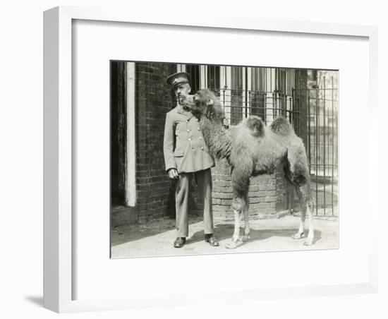 A Bactrian Camel Calf-Frederick William Bond-Framed Photographic Print