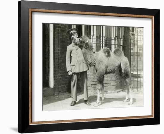 A Bactrian Camel Calf-Frederick William Bond-Framed Photographic Print