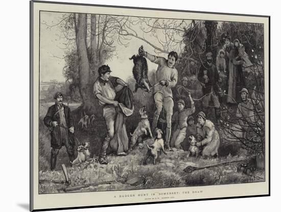 A Badger Hunt in Somerset, the Draw-Robert Walker Macbeth-Mounted Giclee Print