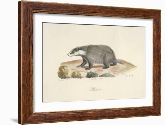 A Badger-Werner-Framed Giclee Print