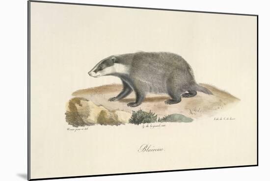 A Badger-Werner-Mounted Giclee Print