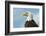 A Bald Eagle Perching on a Dead Tree Scans the Marsh of Bowron Lake-Richard Wright-Framed Photographic Print