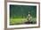 A Bald Eagle Perching on a Dead Tree Scans the Marsh of Bowron Lake-Richard Wright-Framed Photographic Print