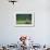 A Bald Eagle Perching on a Dead Tree Scans the Marsh of Bowron Lake-Richard Wright-Framed Photographic Print displayed on a wall