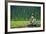 A Bald Eagle Perching on a Dead Tree Scans the Marsh of Bowron Lake-Richard Wright-Framed Photographic Print