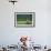 A Bald Eagle Perching on a Dead Tree Scans the Marsh of Bowron Lake-Richard Wright-Framed Photographic Print displayed on a wall