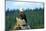 A Bald Eagle Perching on a Dead Tree Scans the Marsh of Bowron Lake-Richard Wright-Mounted Photographic Print