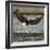 A Bald Eagle Swoops Down for a Landing While Looking for Fish-null-Framed Photographic Print